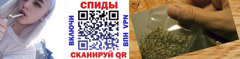 закладки  Дубна  Бутират буратино 