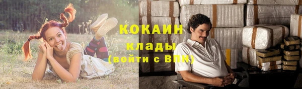 spice Абинск