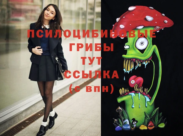 скорость Алексин