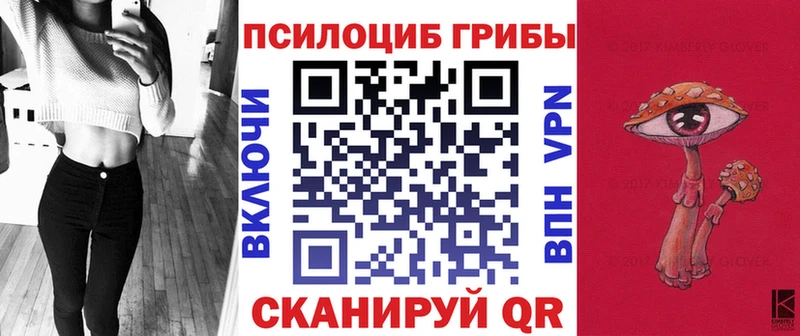 Галлюциногенные грибы Psilocybine cubensis  Дубна 