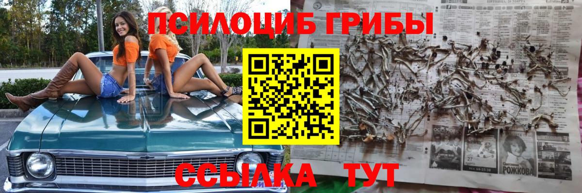 купить наркотик  Вход с VPN  Дубна  Галлюциногенные грибы MAGIC MUSHROOMS 