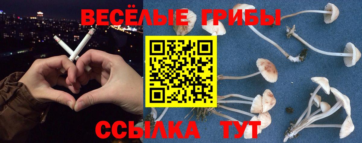Галлюциногенные грибы MAGIC MUSHROOMS Дубна